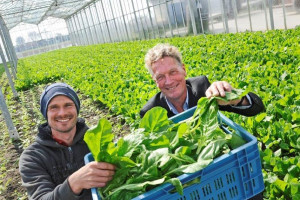 PvdA maakt zich hard voor duurzame landbouw
