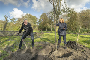 Hans Heddes plant eerste boom in Waldervaartpark