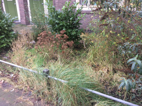 #groenetuinactie in gemeente Schagen